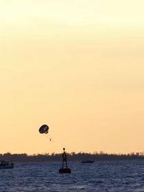 all鏟：命（FATE）