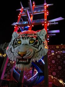 第一次武界抗倭戰(zhàn)爭