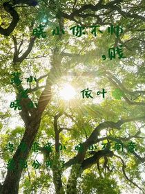 嘵小你不帥，賤