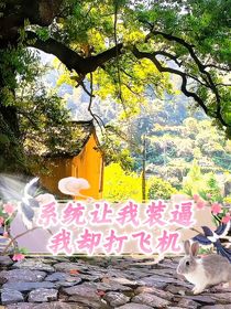 系統(tǒng)讓我裝逼，我卻打飛機