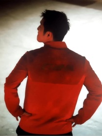 樊振東古言同人：歲歲與君同