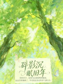 碎影沉眠舊年