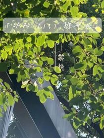 從八（13）班開始