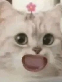 朝擬人：老祖宗們的小日常