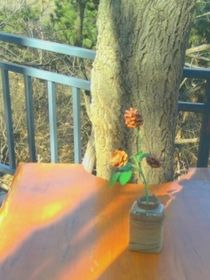 大力女修海王記