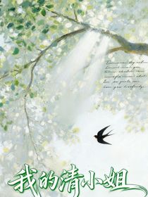 我的清小姐