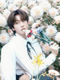 邊伯賢：燃光予雪