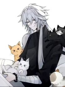 夜幕下的臨冬城