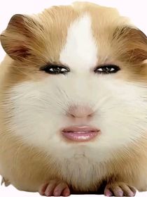 張桂源夢(mèng)女辭