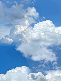 不er我怎么多了好幾個老哥