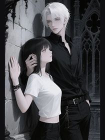 乙游：賬號(hào)即主角