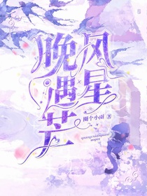 晚风遇星芒