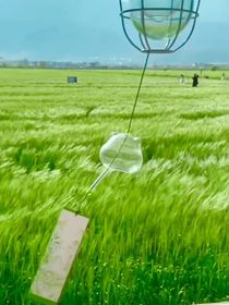 情至深時(shí)無(wú)俗界