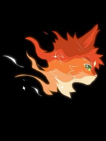 貓武士外傳——13灰條的誓言