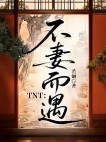 TNT：不妻而遇