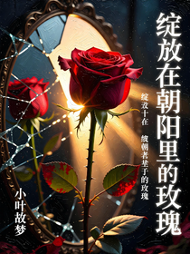 綻放在朝陽里的玫瑰