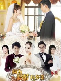 因为爱情有多美（改编版）