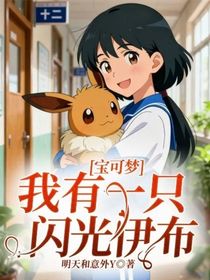 寶可夢(mèng)：我有一只閃光伊布