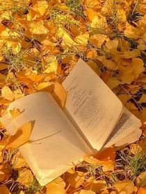 江老师，好久不见