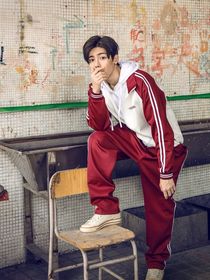 人不彪悍枉少年：花彪x暮梓忆