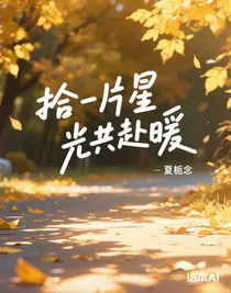 拾一片星光共赴暖
