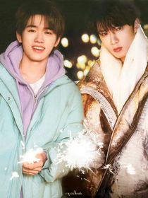 文轩：穿成恶毒O后，我被A男主盯上了