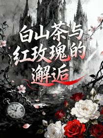 白山茶与红玫瑰的邂逅