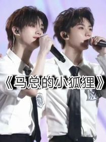 ——马总的小狐狸