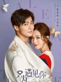 只为遇见你：婚后