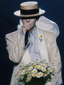 四月雏菊渐次开