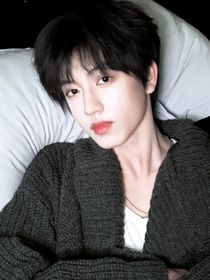 TF四代：讨厌玛丽苏