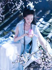 少年歌行之飞鸟难回