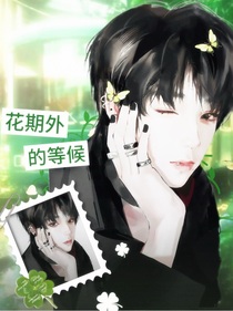 TF四代：花期外的等候