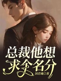 总裁他想求个名分