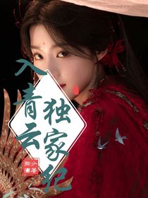 入青云：独家纪意