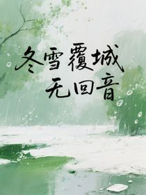 冬雪覆城无回音