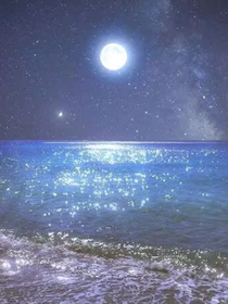 全高：徜徉时空