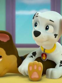 汪汪队之从不后悔认识你（毛珠，奇天）