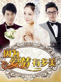 因为爱情有多美第二季