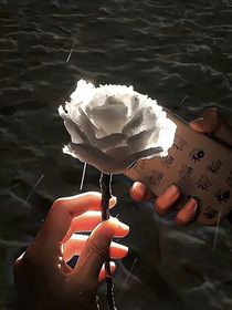 叶罗丽之水王的独宠回来了