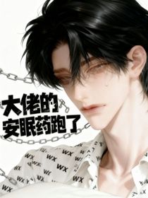 大佬的安眠药跑了