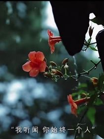 综影视凌霄高处不畏寒