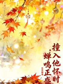 撞入他怀时，蝉鸣正盛