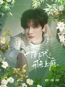 TF三代：开局一条苦茶子