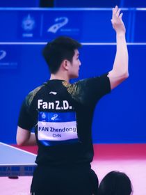 樊振东之同行的我们