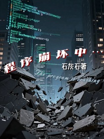程序崩坏中……