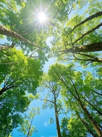 论学霸如何被带歪