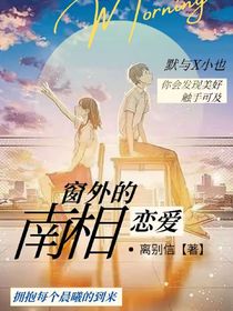 南相窗外的恋爱