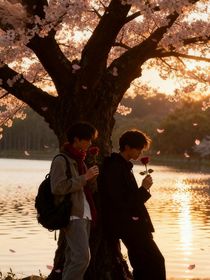 熙攘岁月，徐徐相伴