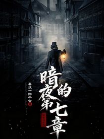 暗夜的第七章